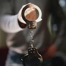 حوادث / سارقان ماکسیما سوار دستگیر شدند