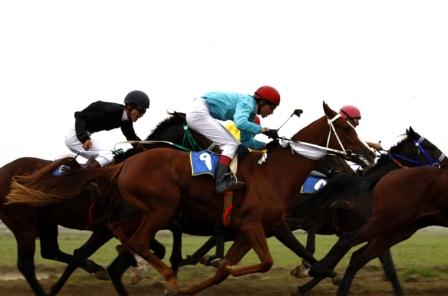 عکس / مسابقات اسب دوانی قهرمانی  کشور