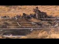 حوادث /  سقوط مرگبار یک بالگرد در لس‌آنجلس در حین فیلمبرداری