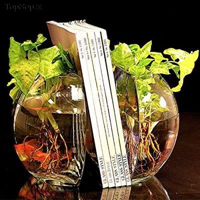 عکس/ طرح‌های جالب تنگ ماهی 