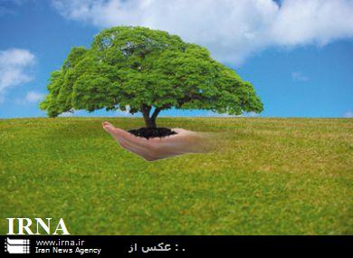 آیین درختکاری ثبت ملی می شود