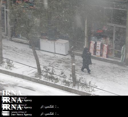 کولاک و بوران برف ساکنان اردبیل را غافلگیر کرد