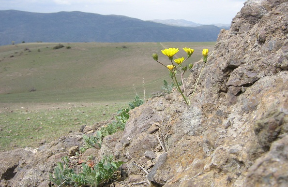 ایران گردی/ خساره یکی از روستاهای حومه زنجان + عکس