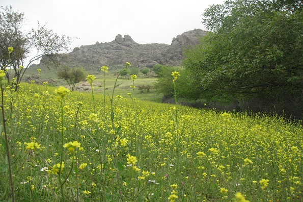 ایران گردی/ خساره یکی از روستاهای حومه زنجان + عکس