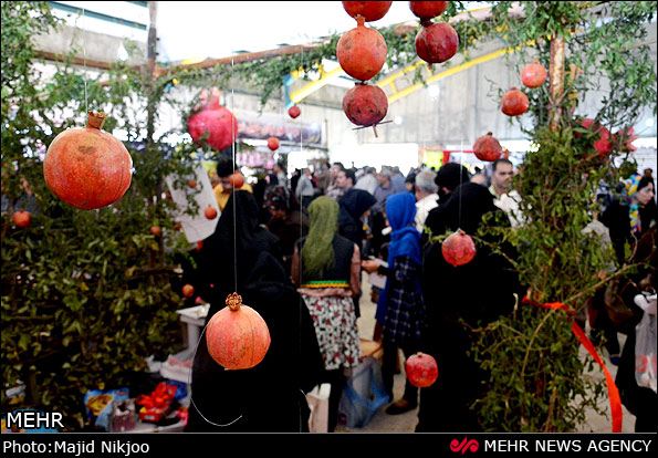 عکس/ جشنواره زیبای انار اشرف