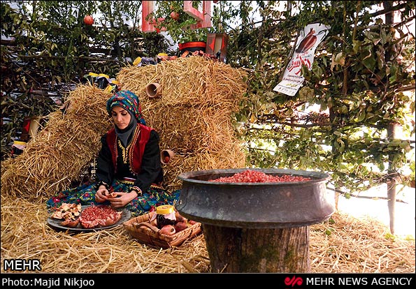 عکس/ جشنواره زیبای انار اشرف