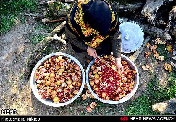 عکس/ جشنواره زیبای انار اشرف