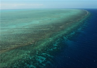 معاون دریایی سازمان حفاظت محیط زیست مطرح کرد: جذب توریست و پایش آب‌های آلوده با مرجان‌ها