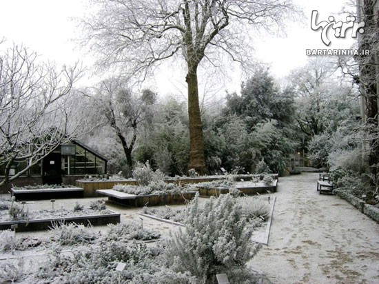 گردشگری/ زمستان زیبا در باغ های گیاهشناسی دنیا