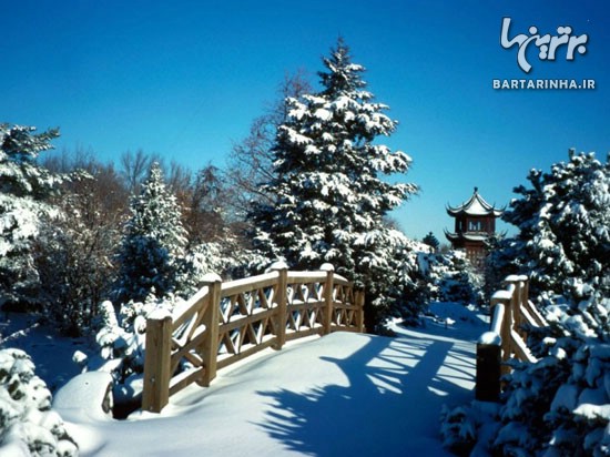 گردشگری/ زمستان زیبا در باغ های گیاهشناسی دنیا