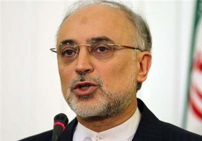 صالحی: به غرب درباره نیروگاه اراک اطمینان خواهیم داد 