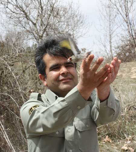 میراث/ عیدی دوستدار طبیعت به پرندگان