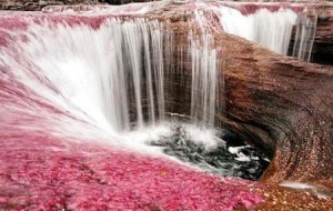 اکوتوريسم/ رودخانه کانو کريستاله