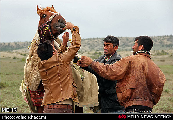 عکس/ رقابت هاي کورس بهاره اسبدواني راز و جرگلان