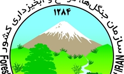 وجود 2 میلیون هکتار زمین‌های فرونشسته در ایران