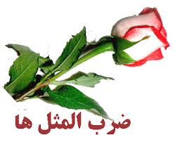زن در ضرب‌المثلهای ملل