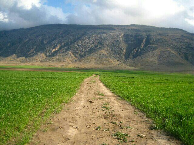 دوربین شما/ طبیعت شهرستان رومشکان