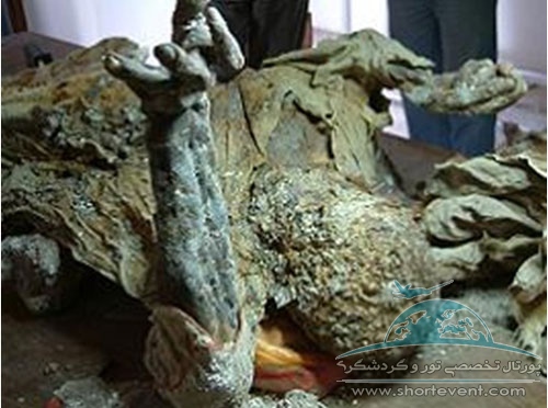 ابنیه/ اطلاعاتی از موزه «مردان نمکی» زنجان