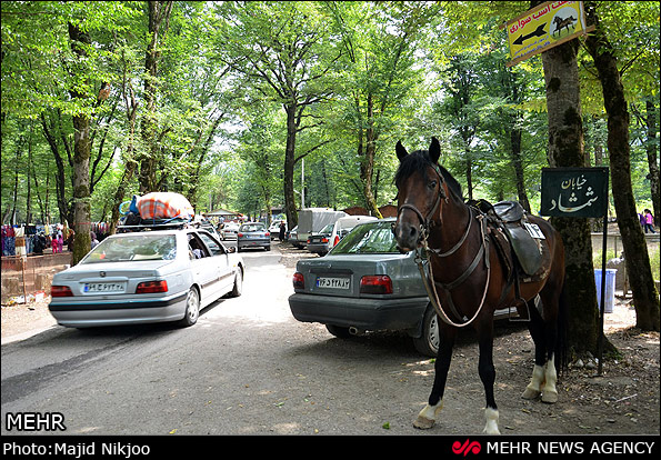 ایرانسرا/ پارکهای جنگلی؛ نگین جنگل های هیرکانی