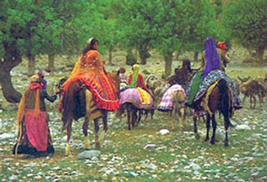 هم وطن/ پیشینه و تاریخچه ایل شاهسون بغدادی