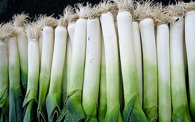 طبع من/ خواص پيازچه را بشناسيد