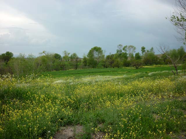 ایرانسرا/ روستای شریف بیگلو، زیبایی مثال زدنی در تمام فصول سال