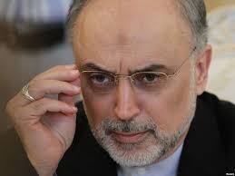 توضیح سازمان انرژی اتمی درباره ترجمه اشتباه مصاحبه صالحی با شبکه چینی