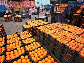 پرتقال‌های ممنوع همچنان تریلی‌وار می‌آیند 