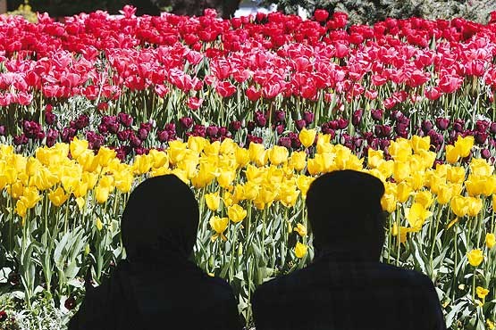 سن ازدواج دختران ایرانی به 30 سال رسید