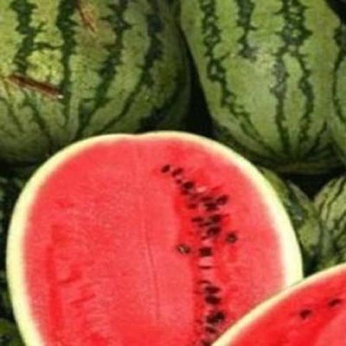 واکنش وزارت جهادکشاورزی به جنجال هندوانه‌ای اعراب