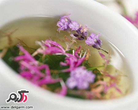 شفاخونه/ فواید اسطوخودوس همراه با فواید دمنوش آن