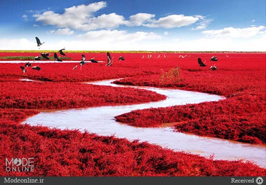 جهان نما/ مکان های رویایی ولی واقعی بر روی زمین