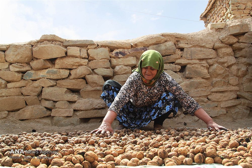 عکس/ تصاویر زیبا از روستای «آلولک» در استان قزوین