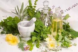 شفاخونه/ درمان کمر درد با گیاهان دارویی