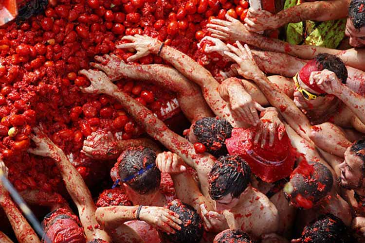 جهان نما/ توماتینا، جشنواره گوجه فرنگی در اسپانیا