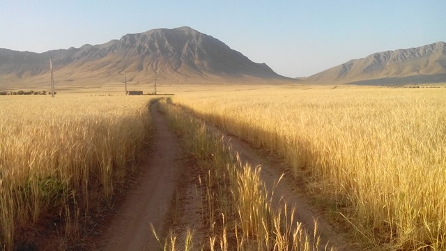 دوربین شما/ طبیعت روستای روغنی 