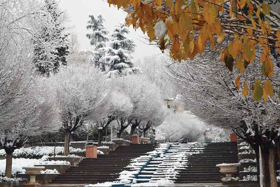 عکس/ منظره زمستانی  پارک نیاوران «تهران»