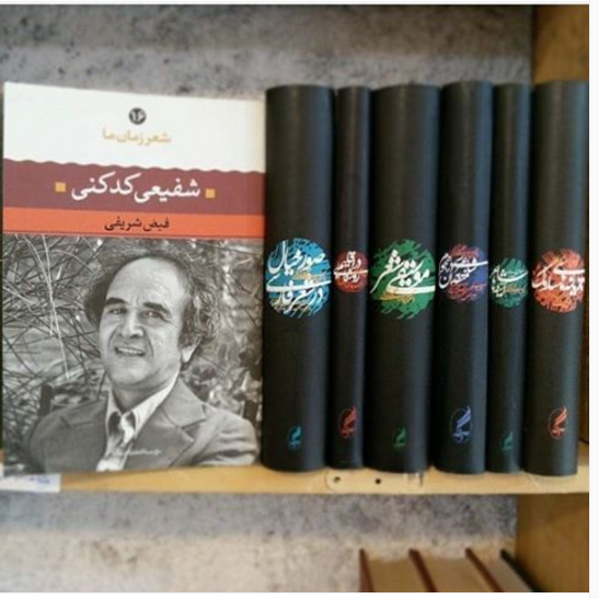 شاعرانه/ چون شعله به معراج فنایی نرسیدیم