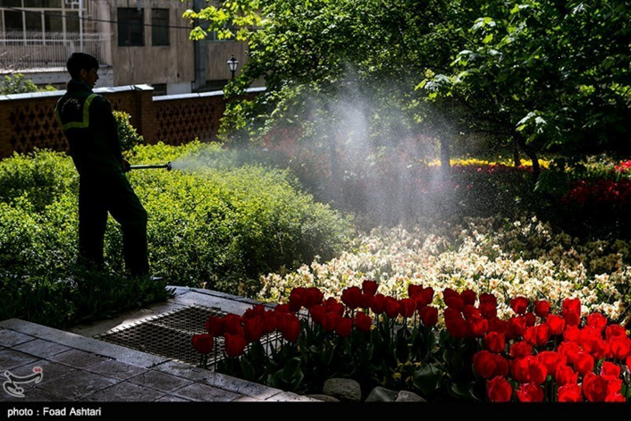 لاله های بوستان باغ ایرانی در تهران