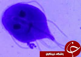 میکروب‌هایی که داخل روده شما زندگی می‌کنند