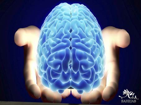  علم نوروبیولوژی چگونه حجاب را اثبات می کند؟