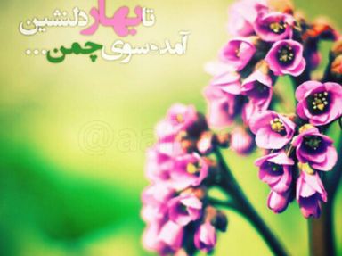 شعر شنیدنی/ تا بهار دلنشین آمده سوی چمن