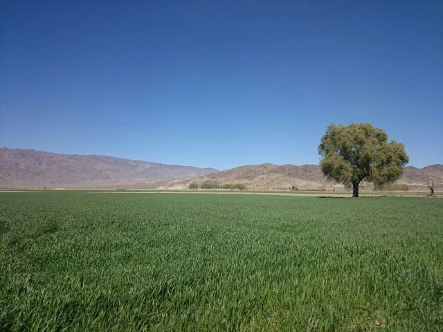 آخرین خبر | صوغان, شهرستان ارزوییه, کرمان