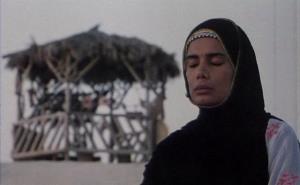  اکران 3 فیلم از ناصر تقوایی در گروه هنر وتجربه 