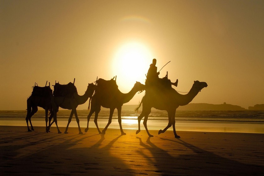 جهان نما/ مراکش کجاست؟