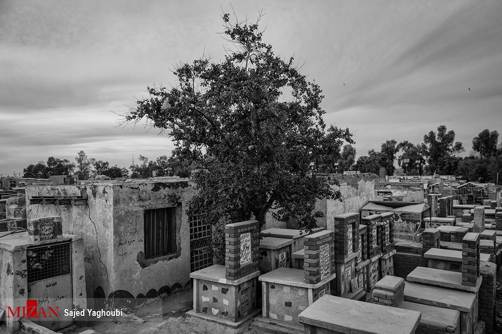 سفری تصویری به قبرستان وادی السلام در شهر نجف