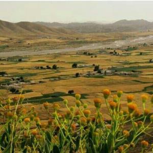 آخرین خبر | برگزیده