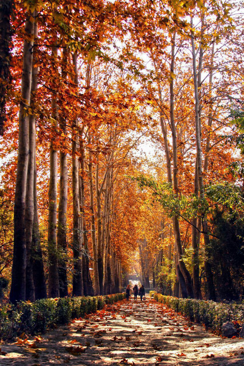 نمایی زیبا از پارک جمشیدیه تهران