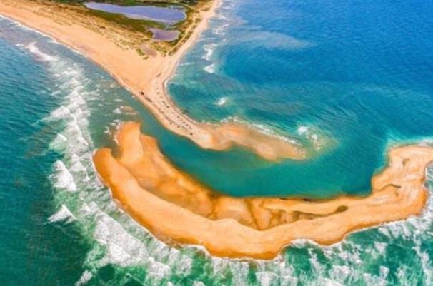 یک جزیره جدید در سواحل آمریکا تشکیل شد