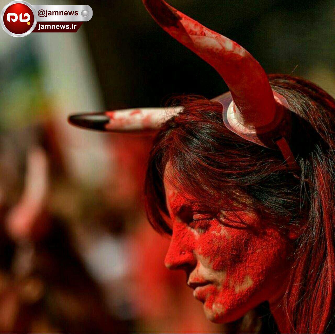 اعتراض به فستیوال های گاوبازی در اسپانیا